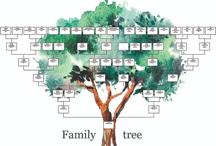 Genealogical tree